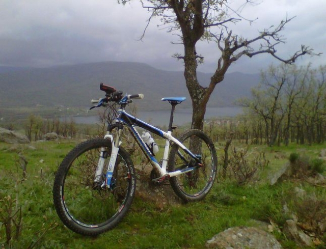 Bici apoyada